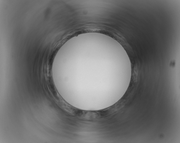 X0000114010330200910020958