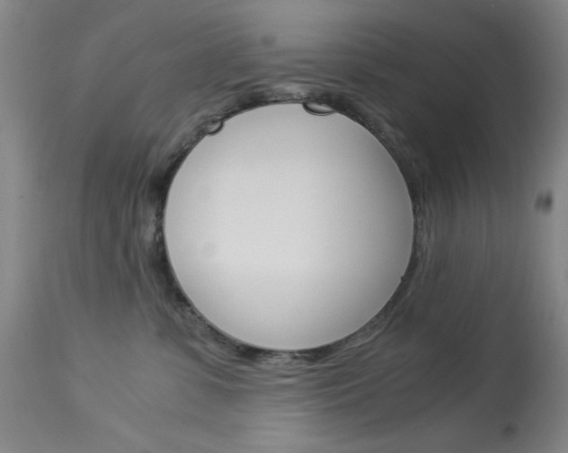 X0000114010331200910020958