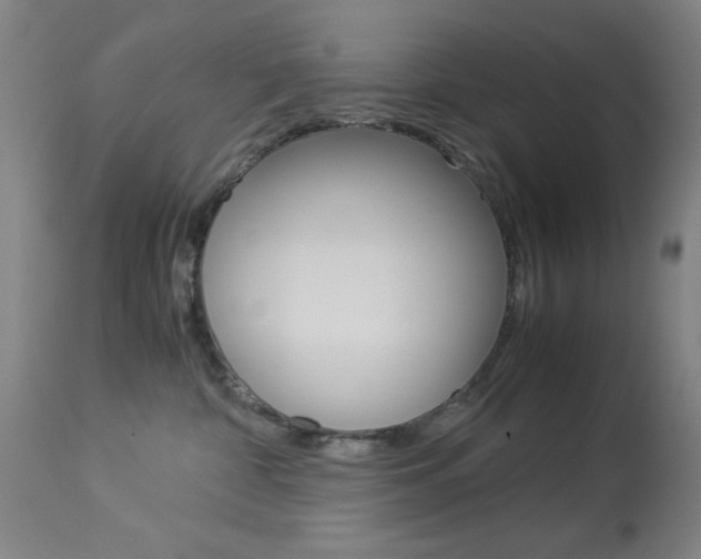X0000114010332200910020958