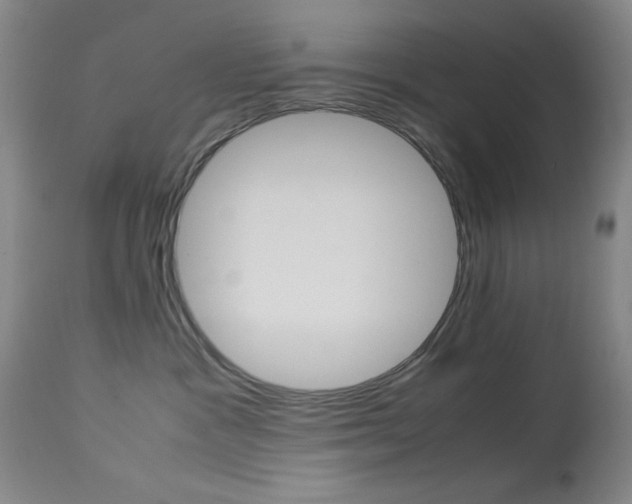 X0000114010333200910020958