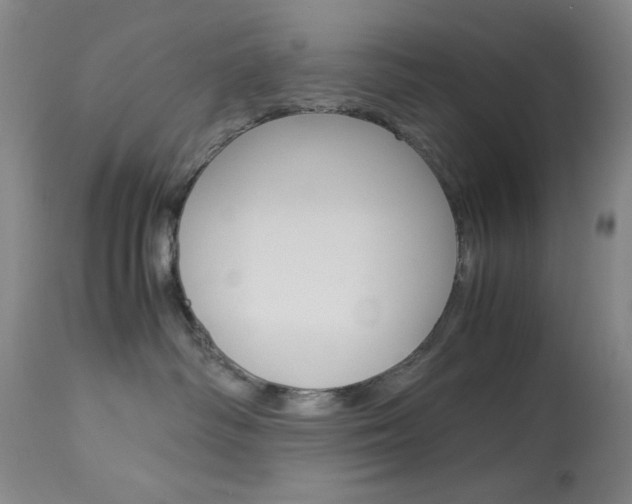 X0000114010334200910020958