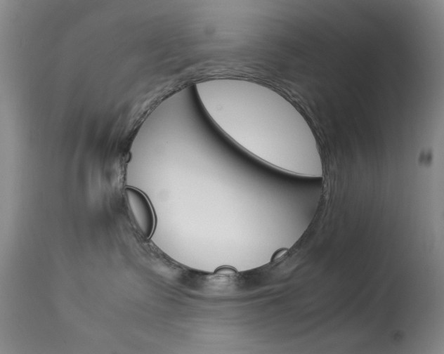 X0000114010335200910020958
