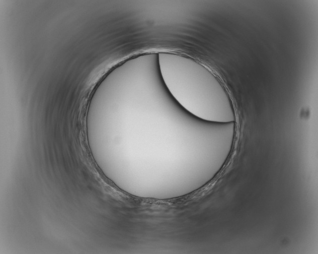 X0000114010337200910020957