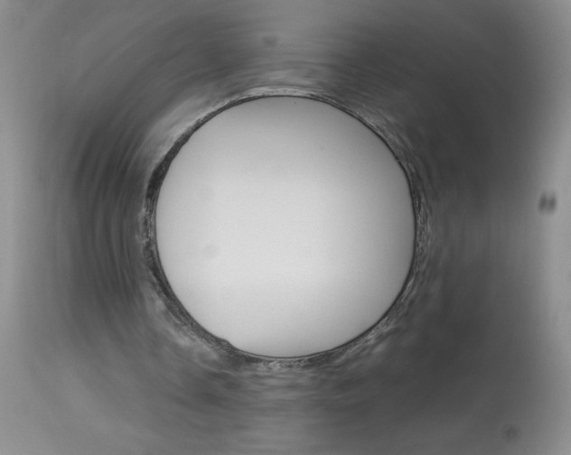 X0000114010338200910020957