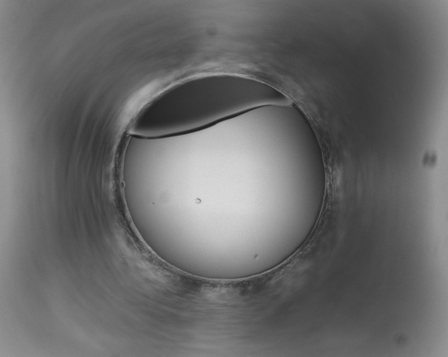 X0000114010340200910020957