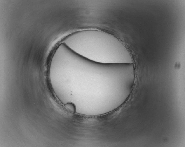 X0000114010342200910020957
