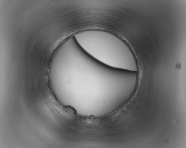 X0000114010345200910020958