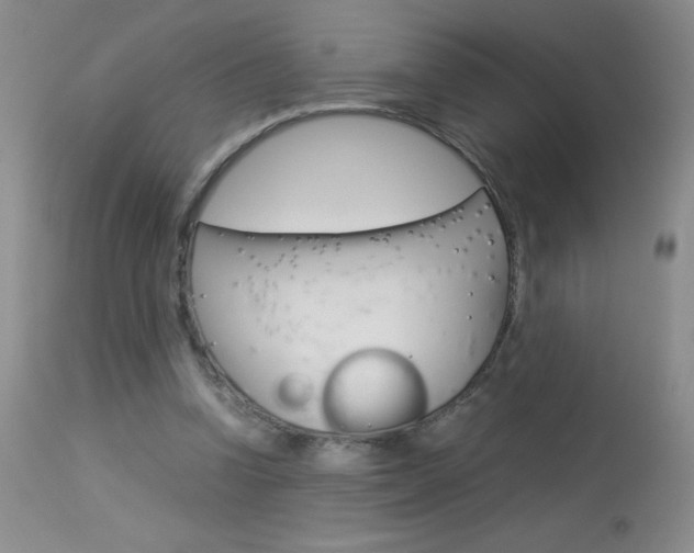 X0000114010346200910020958