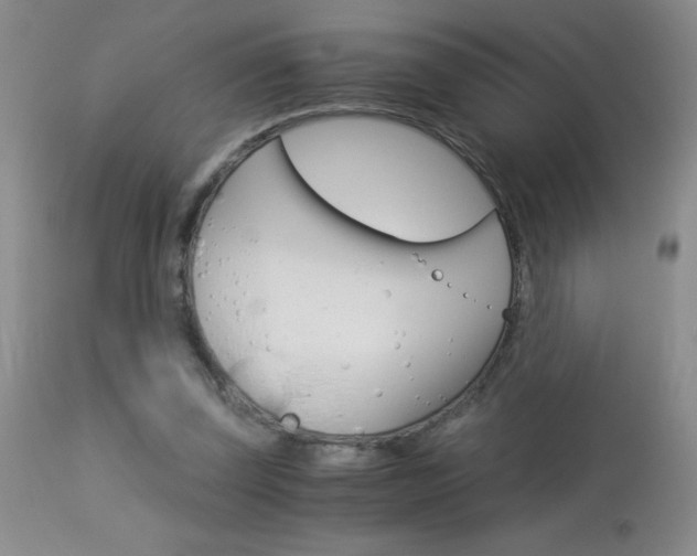 X0000114010347200910020958