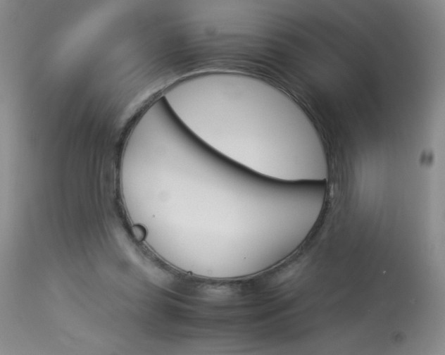 X0000114010349200910020958