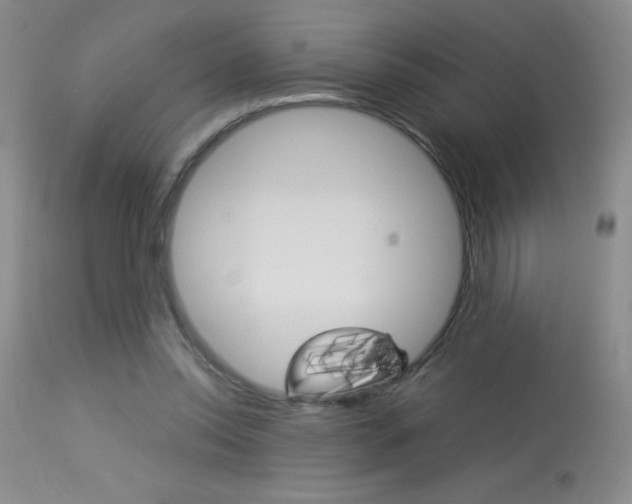 X0000114010350200910020958
