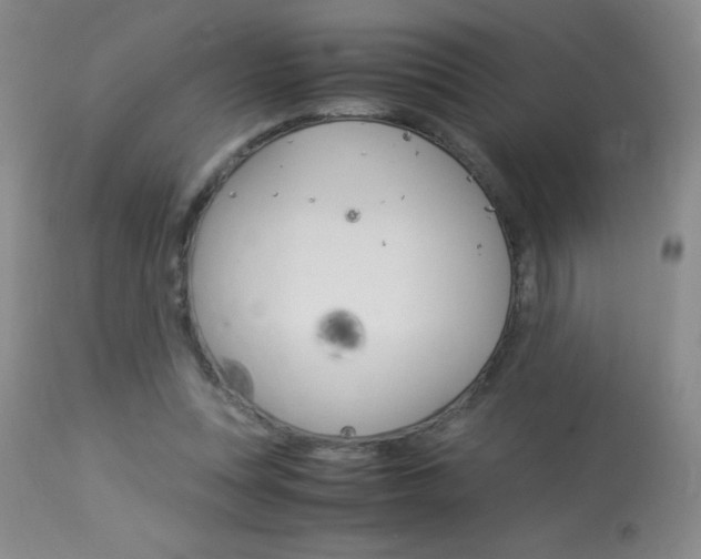 X0000114010351200910020958