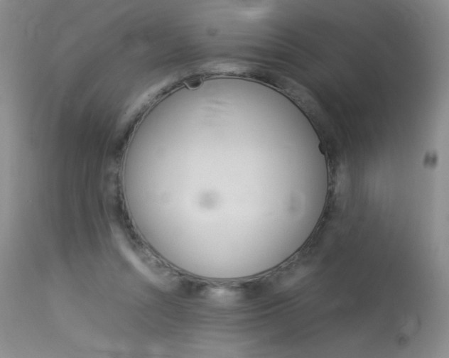 X0000114010352200910020958