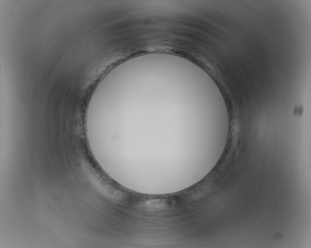 X0000114010353200910020958