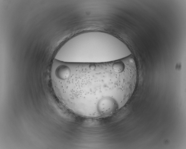X0000114010354200910020958
