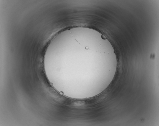 X0000114010355200910020958