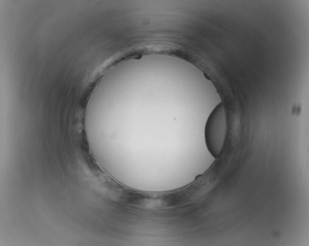 X0000114010356200910020958