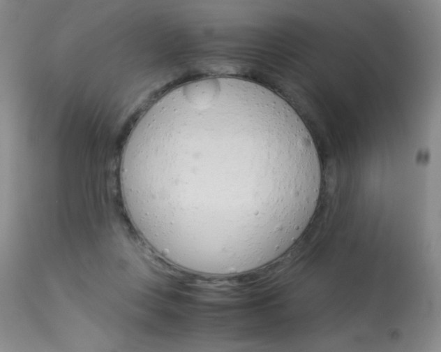 X0000114010359200910020958