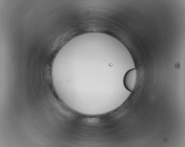 X0000114010361200910020958