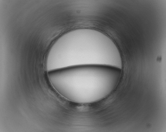 X0000114010362200910020958