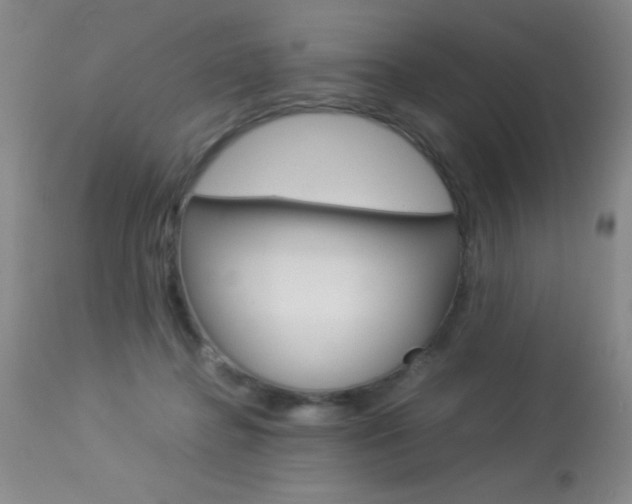 X0000114010364200910020958