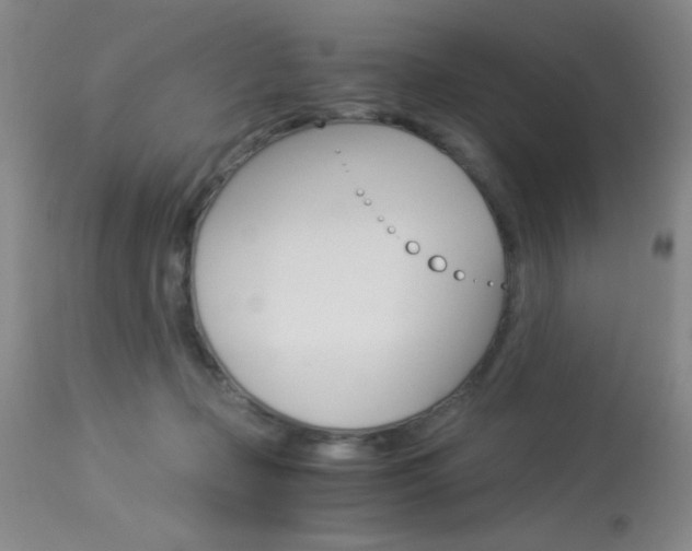 X0000114010365200910020958
