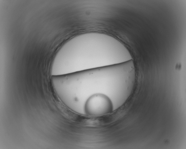 X0000114010366200910020958