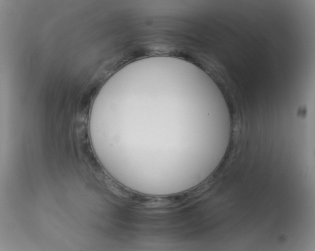 X0000114010369200910020958