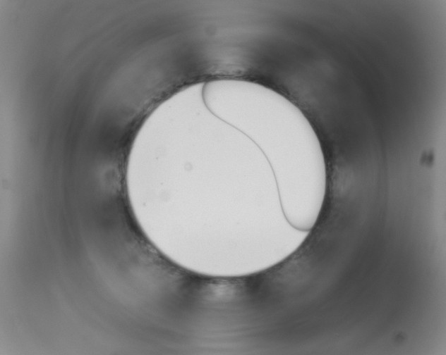 X0000114010370200910020958