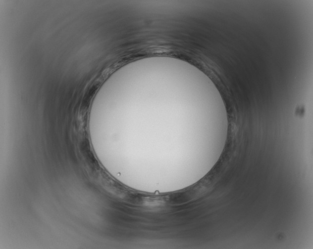X0000114010373200910020958