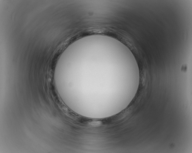X0000114010374200910020958