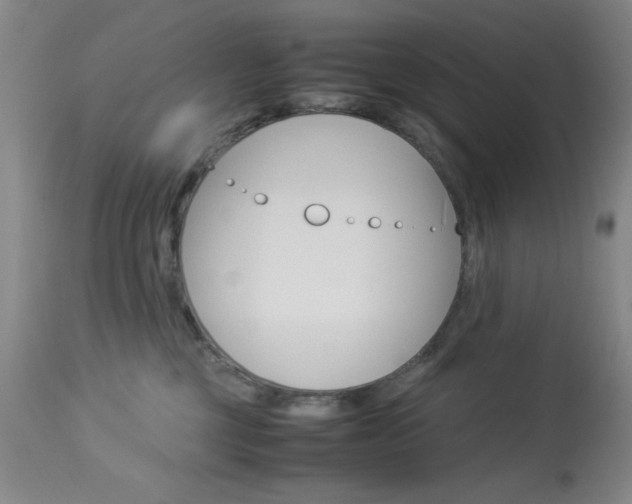 X0000114010377200910020958