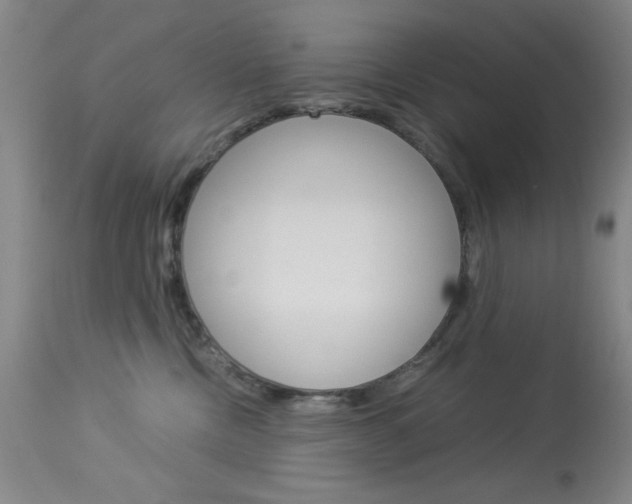 X0000114010378200910020958