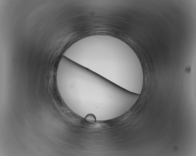 X0000114010379200910020958