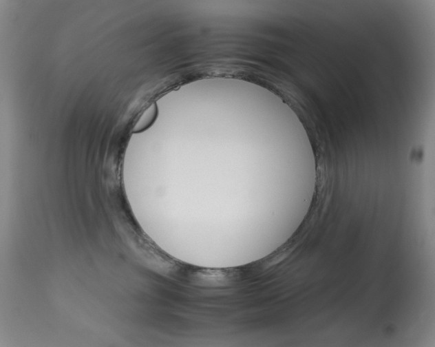 X0000114010381200910020958