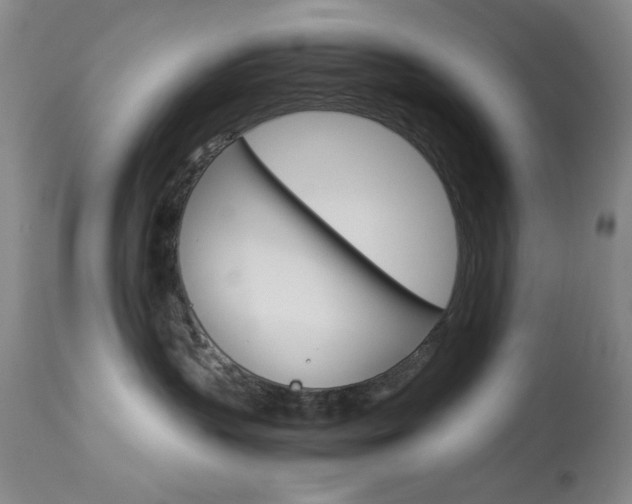 X0000114010383200910020958
