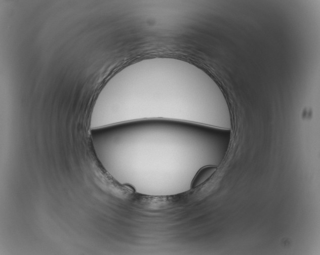 X0000114010384200910020958