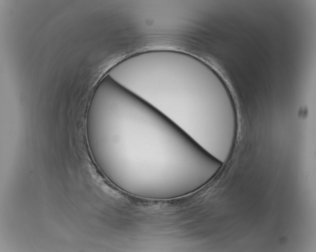 X0000114010385200910020957