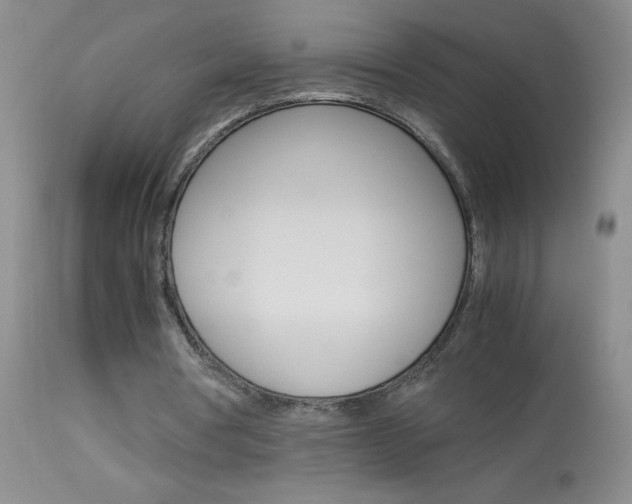X0000114010386200910020957