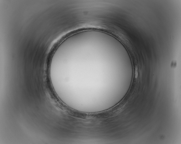 X0000114010388200910020957