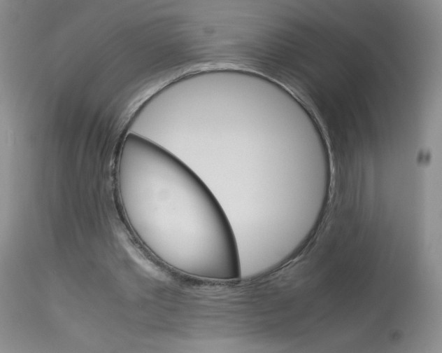 X0000114010389200910020957