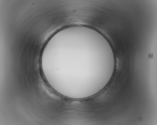 X0000114010390200910020957