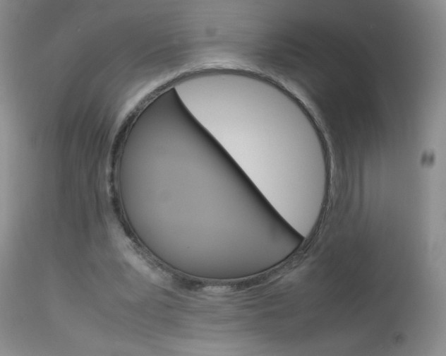 X0000114010391200910020957