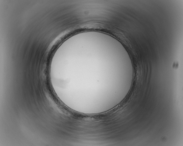 X0000114010392200910020957