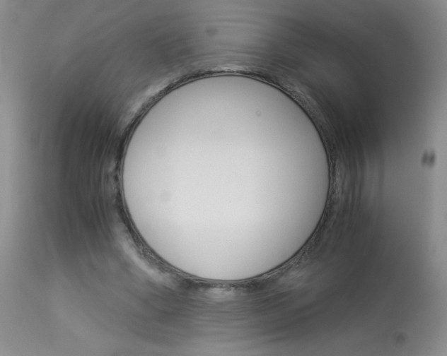 X0000114010394200910020957
