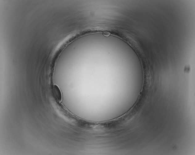X0000114010395200910020957