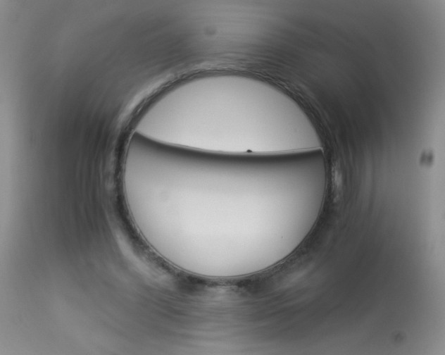 X0000114010396200910020957
