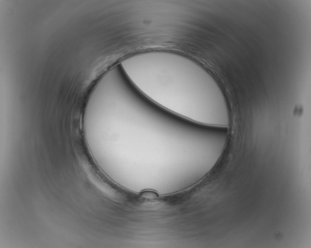 X0000114010397200910020957