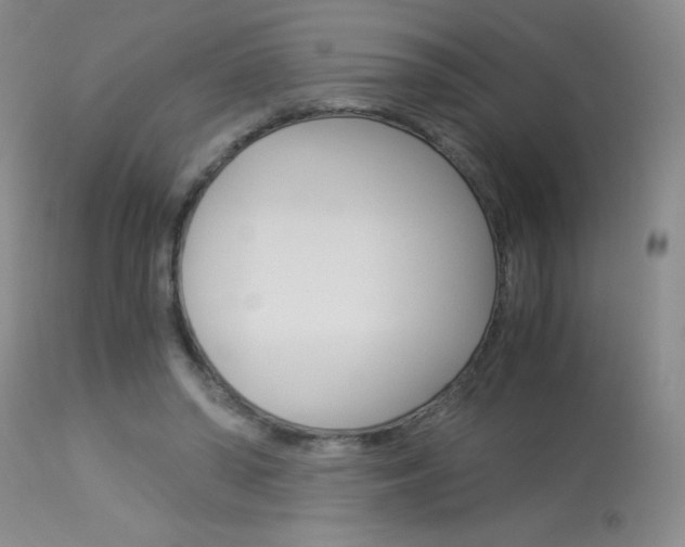 X0000114010398200910020957