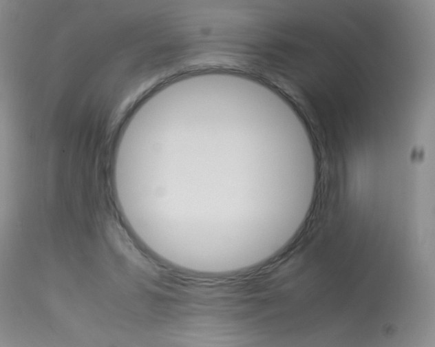 X0000114010399200910020957